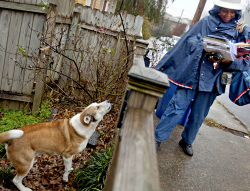 Survey Shows Postmen See More Dog Bites in Texas