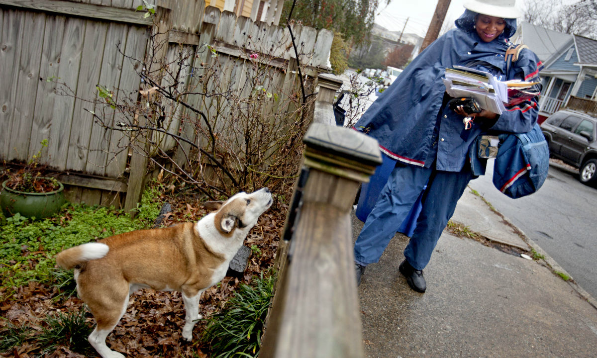 Louisville Dog Bite Attorney  Louisville Animal Attack Lawyer